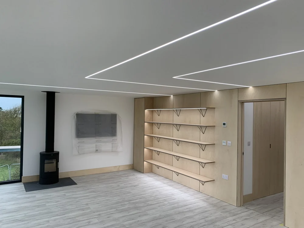 Plywood wall and bespoke shelves
